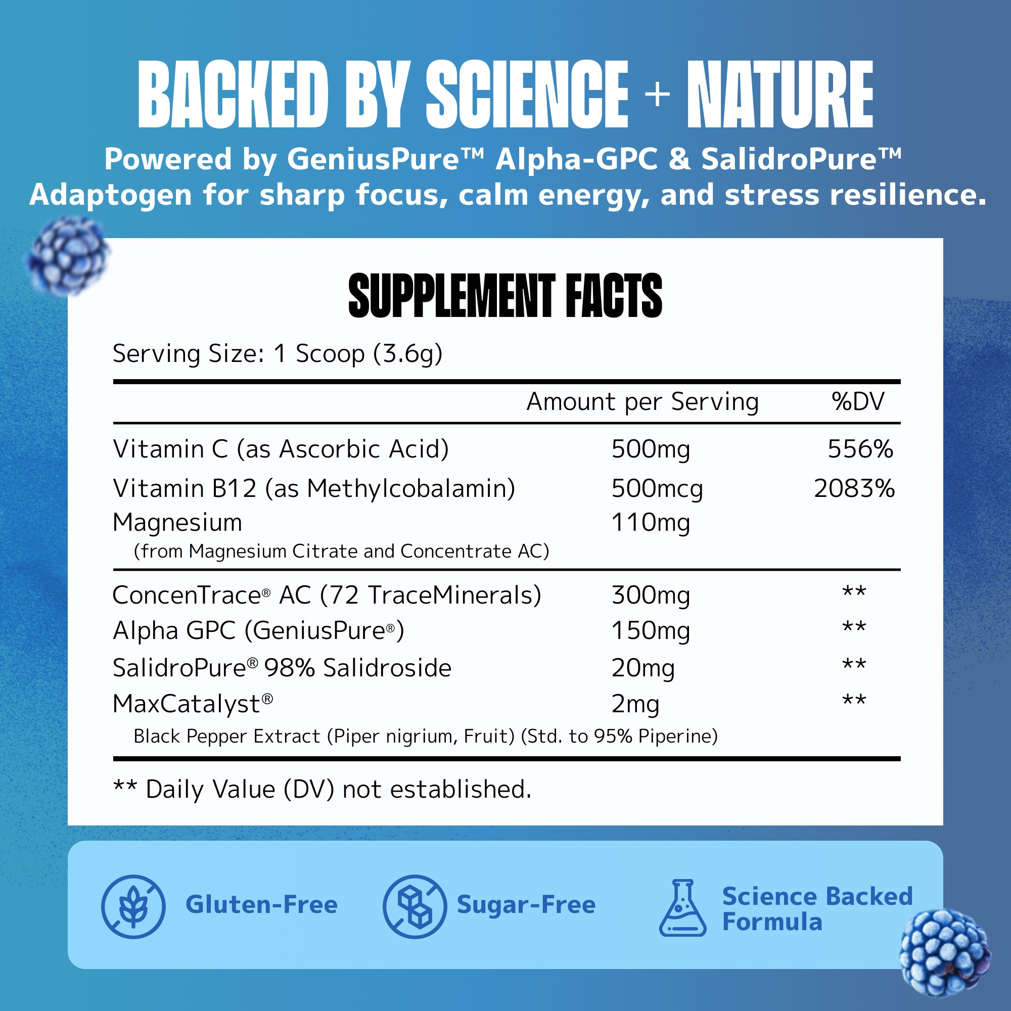Brain Fuel + Hydration Drink Mix: Blue Raspberry